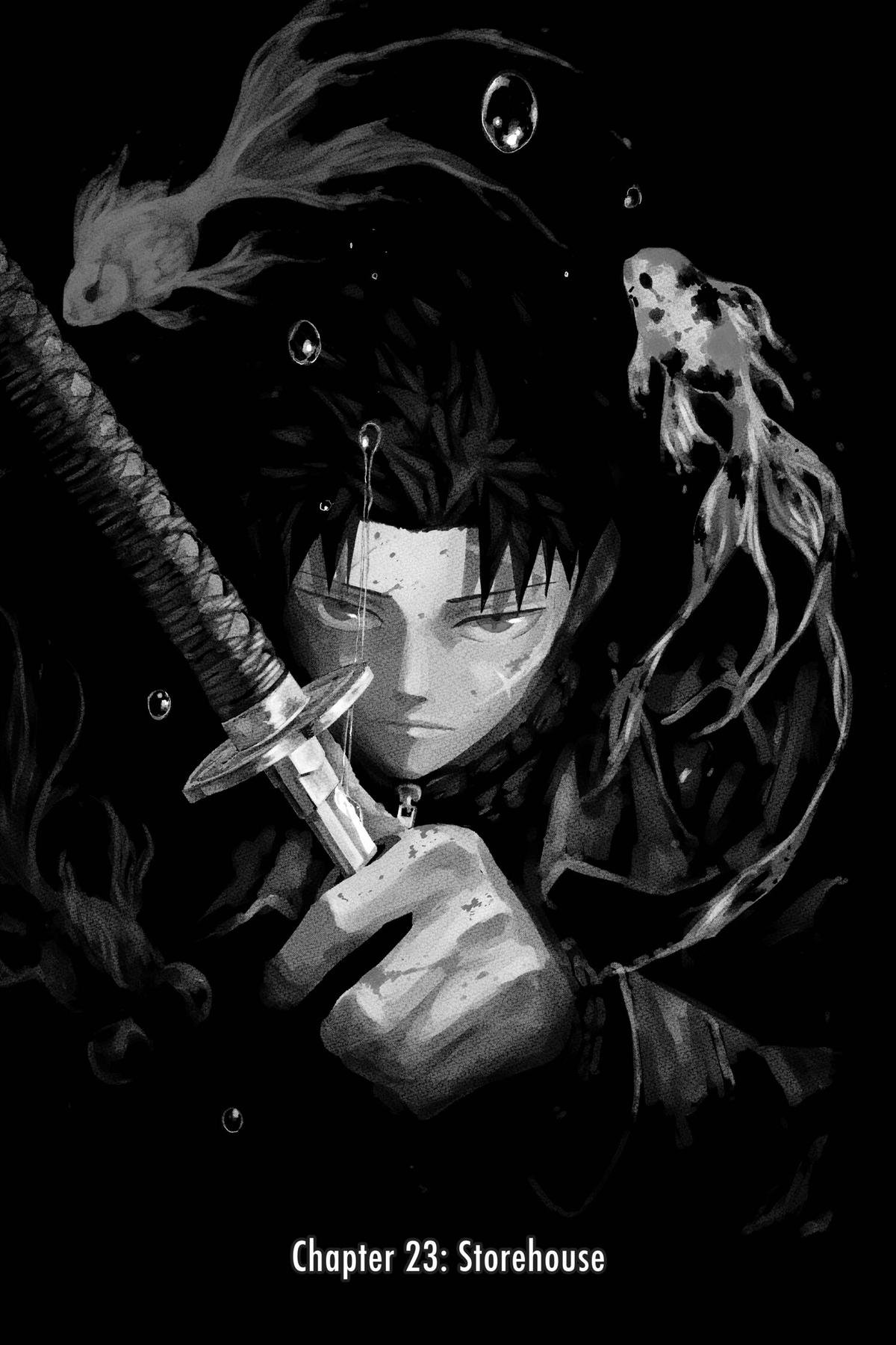 Chapter image 1