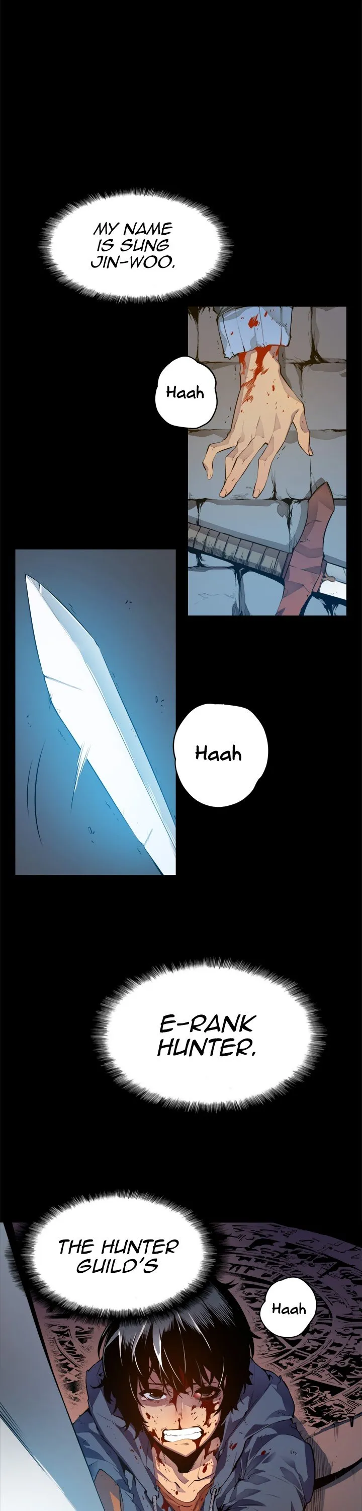 Chapter image 1